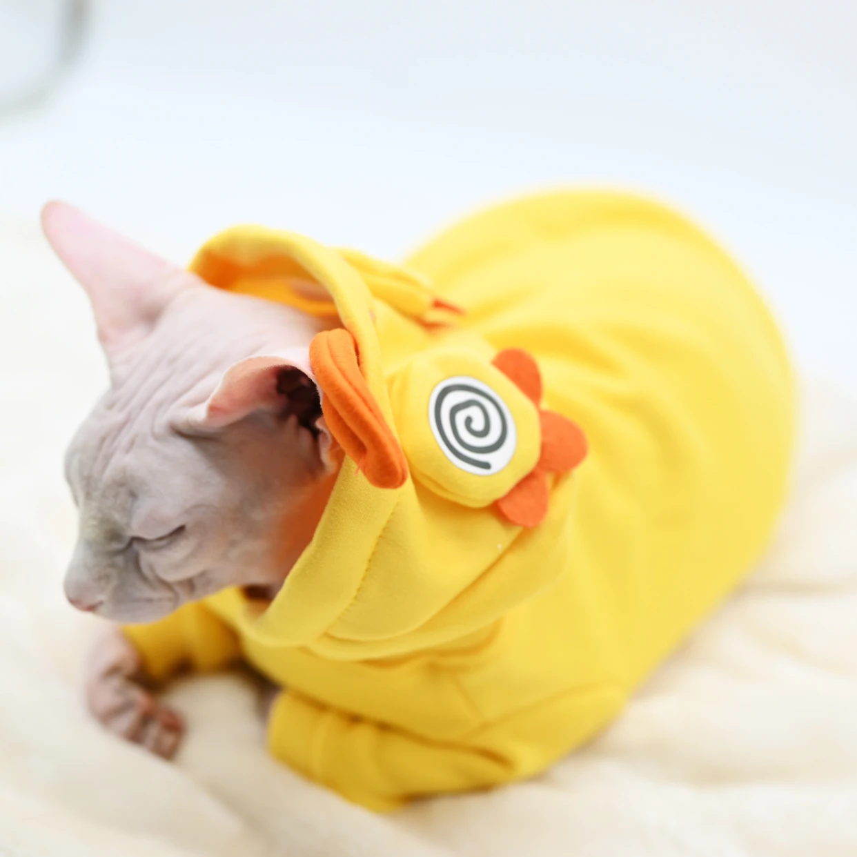 

Hairless Cat Clothes Devon Clothes Funny Kitten Clothes Soft Autumn Pet Anti Hair Loss Hoodie Clothes for Cats