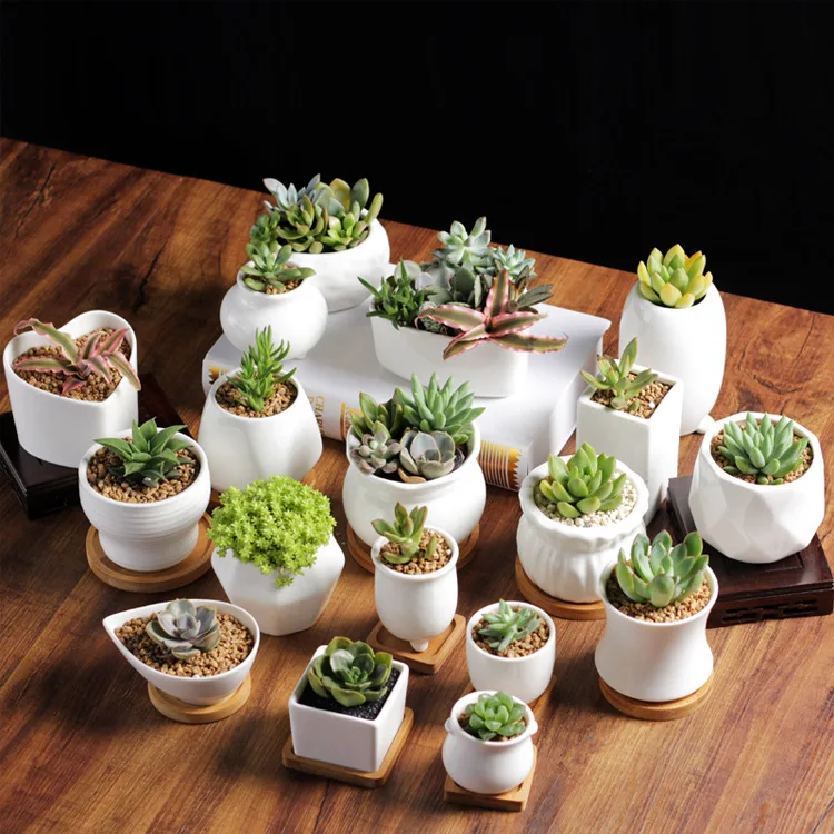 

Korean Desktop Mini Succulent Flower Pot Creative Flower Pot Crafts Ceramic White Pots for Plants Succulents Pots