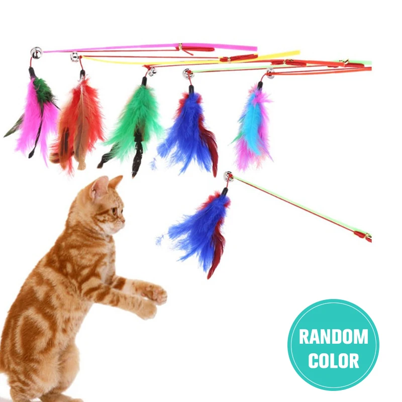 

Pet Cat Bell The Dangle Colored Feathers High Elastic Rope Funny Playing Toy Fishing Rod Game Wand Feather Stick Toy