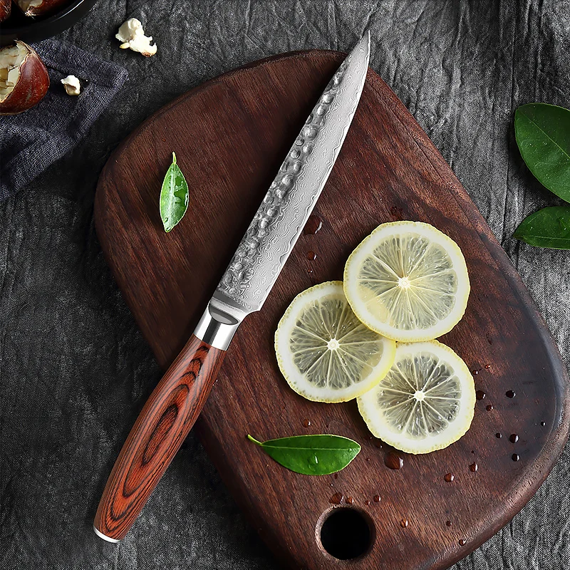 

XITUO 5 Inch Utility Knife Japanese 67 Layer Damascus Steel Cutting Vegetable Fruit Knives For Kitchen Chef Cutter Cooking Tools