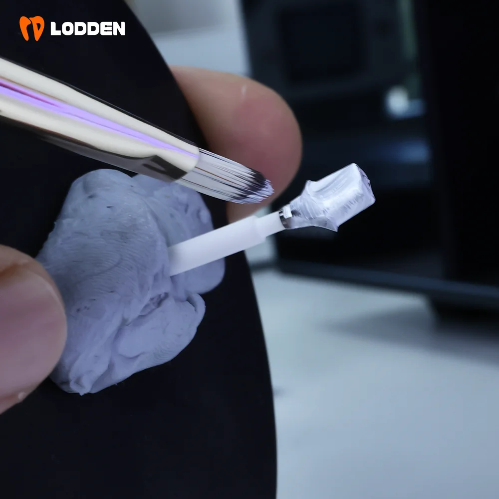 LODDEN Dental Lab Developer Paste 10 г для сканирования