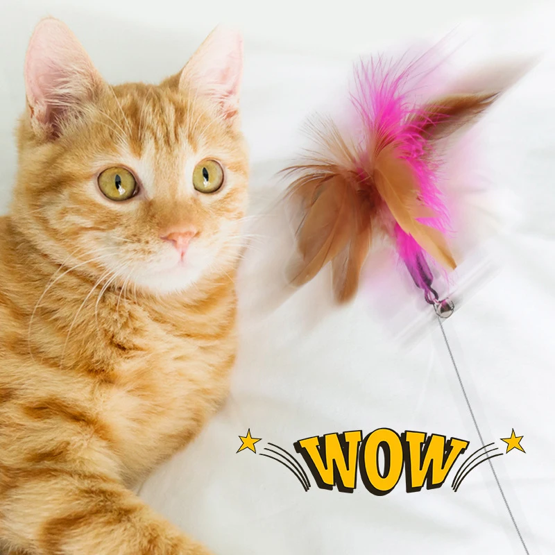 

Interactive Cat Toys Funny Feather Teaser Stick with Bell Pets Collar Kitten Playing Teaser Wand Training Toys for Cats Supplies