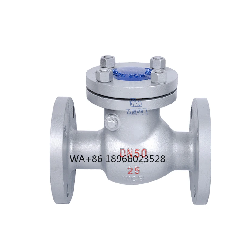Поставка производителя Поворотный обратный клапан Разумная цена Фланцевый WCB DN50