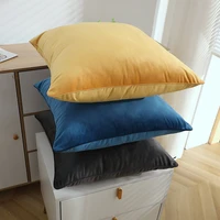 cute pillow cushion bench cushion home decor cushion cushion removable and washable cushion cover case