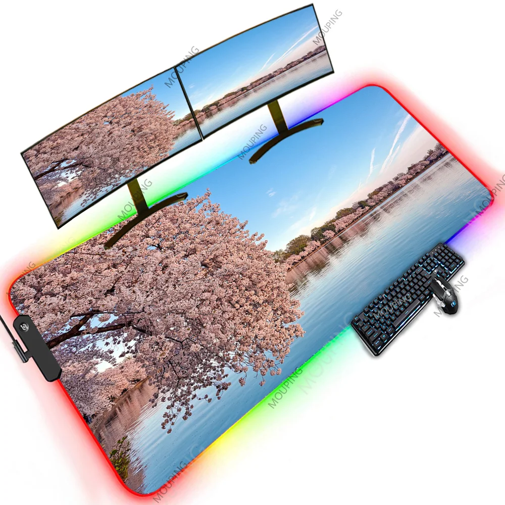 

Cherry Blossom Led Rgb Gadgets Office Laptop Desk Chair Backlit Organization Aesthetic 1200x600 XXXL Oversize Mouse Pad Pink Red