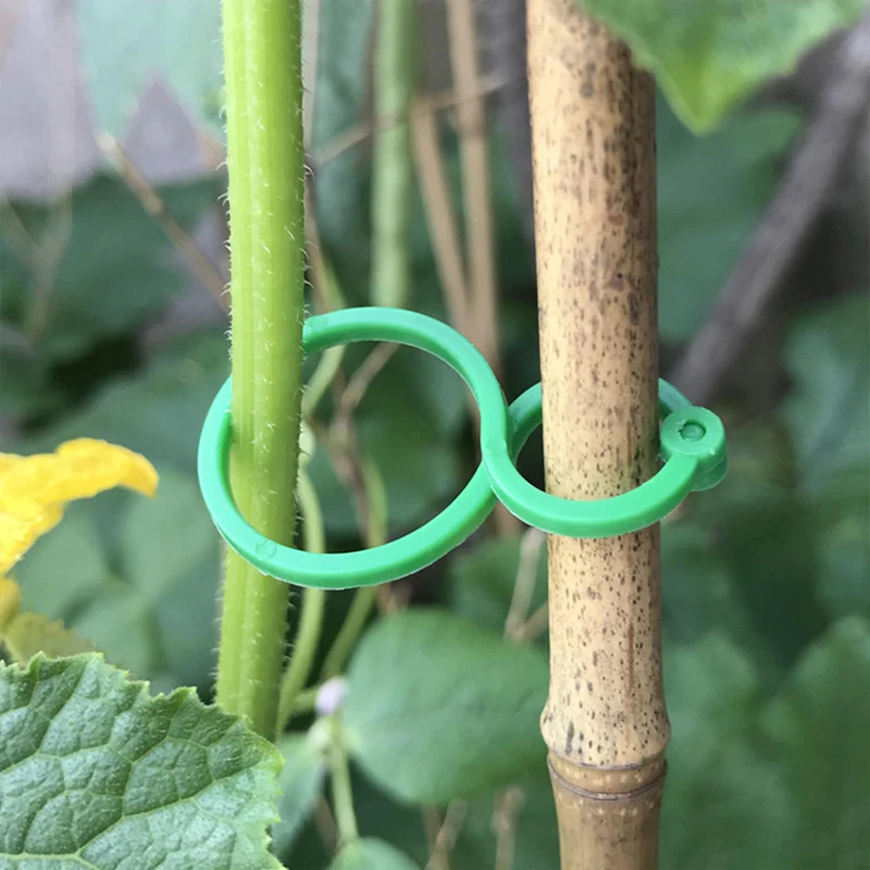 

Обвязочные зажимы для выращивания растений, вертикальный держатель для растений, зеленое пластиковое кольцо в комплекте, подставка для овощей и сада, инструмент, зажимы для поддержки лозы
