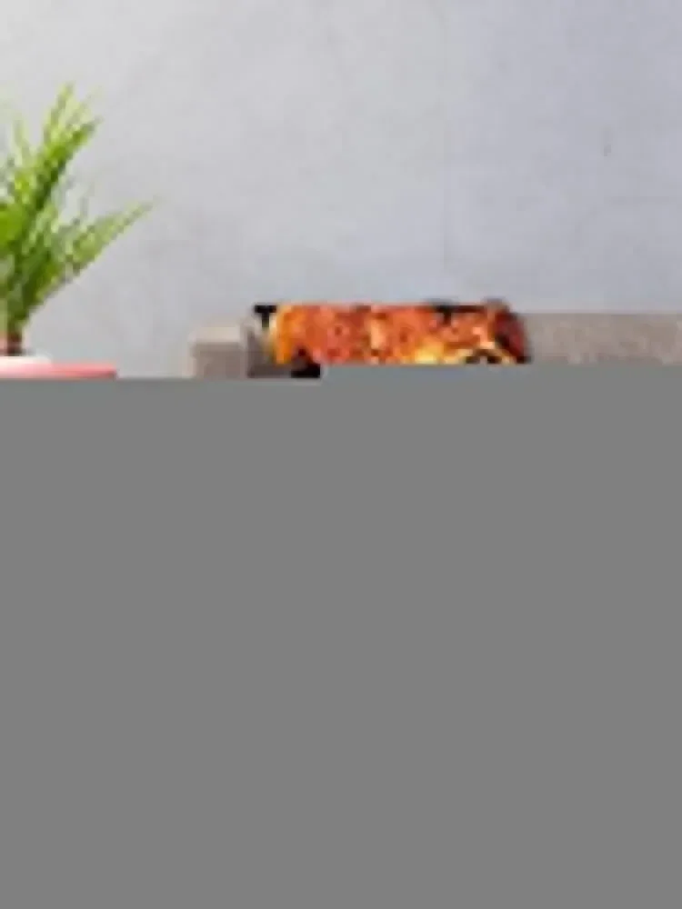 Nadia Vulvokov Туристическое плюшевое одеяло