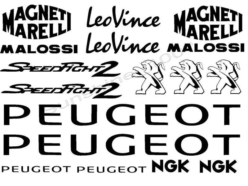 

Набор наклеек 17 шт. для Speedfight Auto Malossi leovinci Magneti Marelli.
