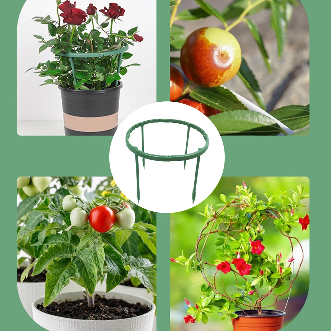 

Garden Plant Support Cage Plie Flower Stand Holder Plastic Semicircle Green House Orchard Fixing Rod Gardening Bonsai Tool