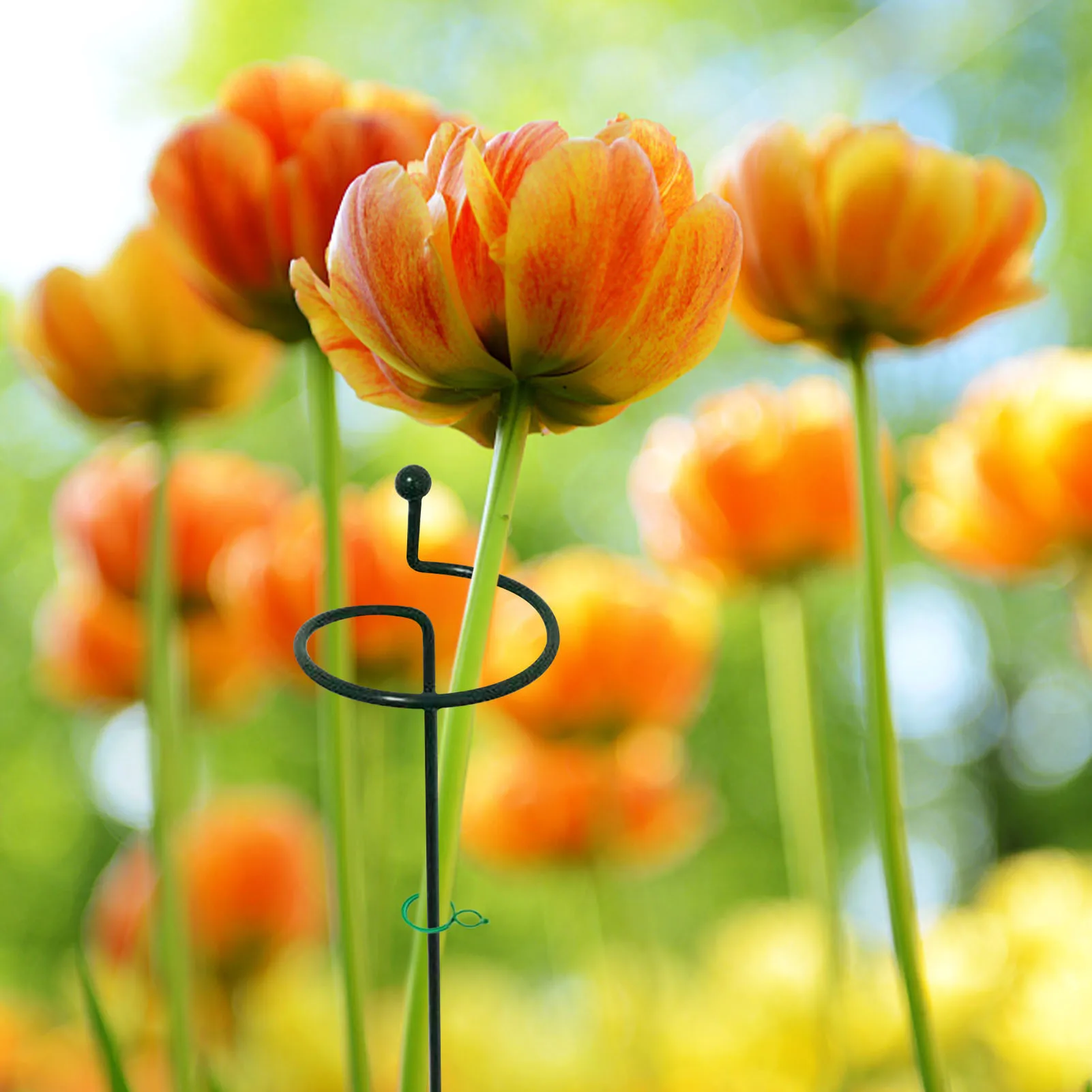 

5-PCS Plant Support Stand Flowers Support Ring Metal Stakes Bonsai Support Plant Cage Backyard Garden Tool For Orchid Lily Peon