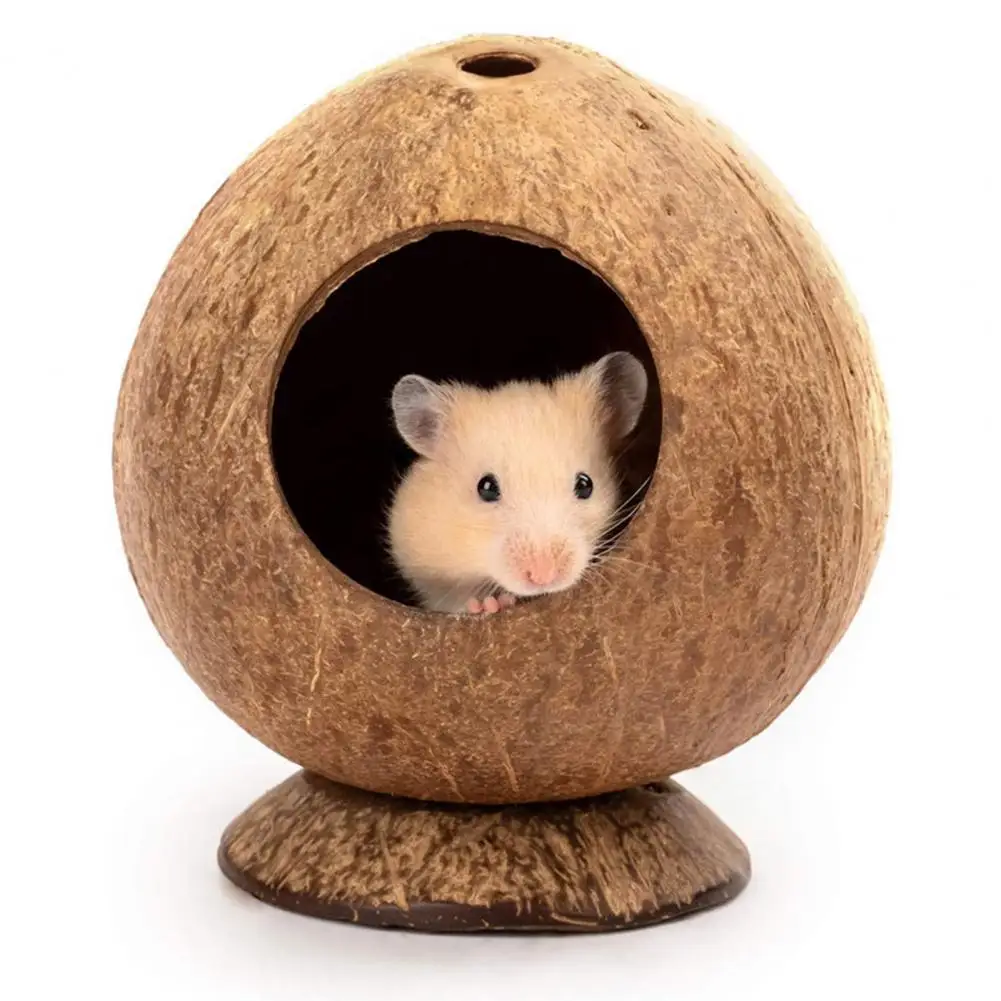 

Safe Guinea-pig Nest Coconut Shell Chinchilla Hut Creative Guinea-pig Hamster Hideout House Toy Natural