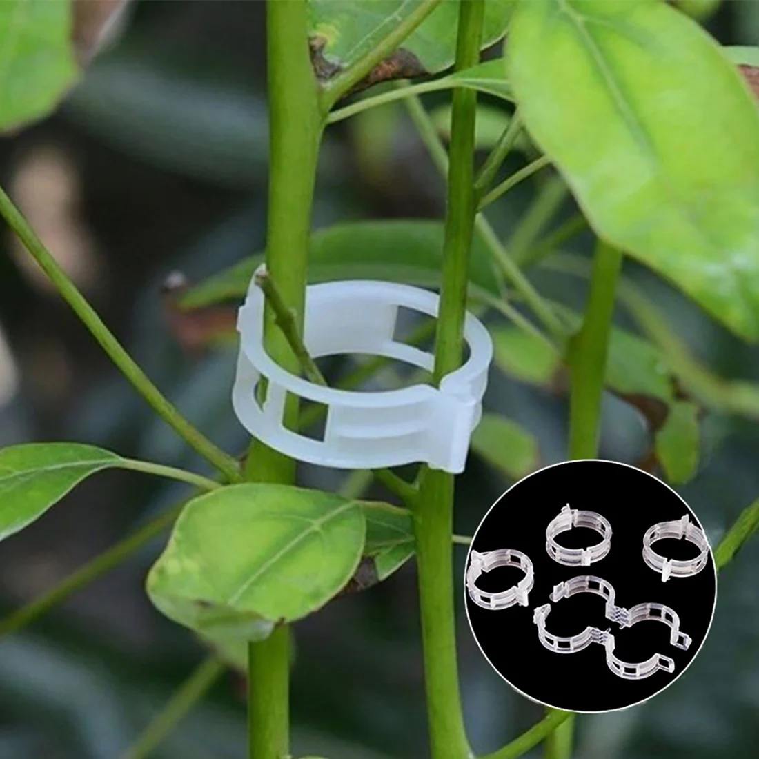 

100Pcs Reusable Plastic Plant Clips Supports Grafting Fixing Plants Vegetable Tomato Protection Tools Home Garden Supplies
