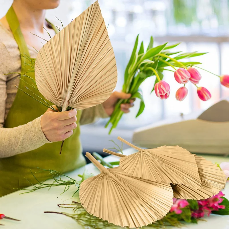 

6 шт. сушеные Пальмовые Листья, сушеные Пальмовые Листья, украшения для дома, в форме сердца и круглых сушеных растений, Обрезанные пальмы в стиле бохо