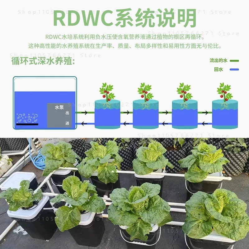 Фото Беспочвенное оборудование для дома и балкона, система RDWC, выращивание в ведрах №4