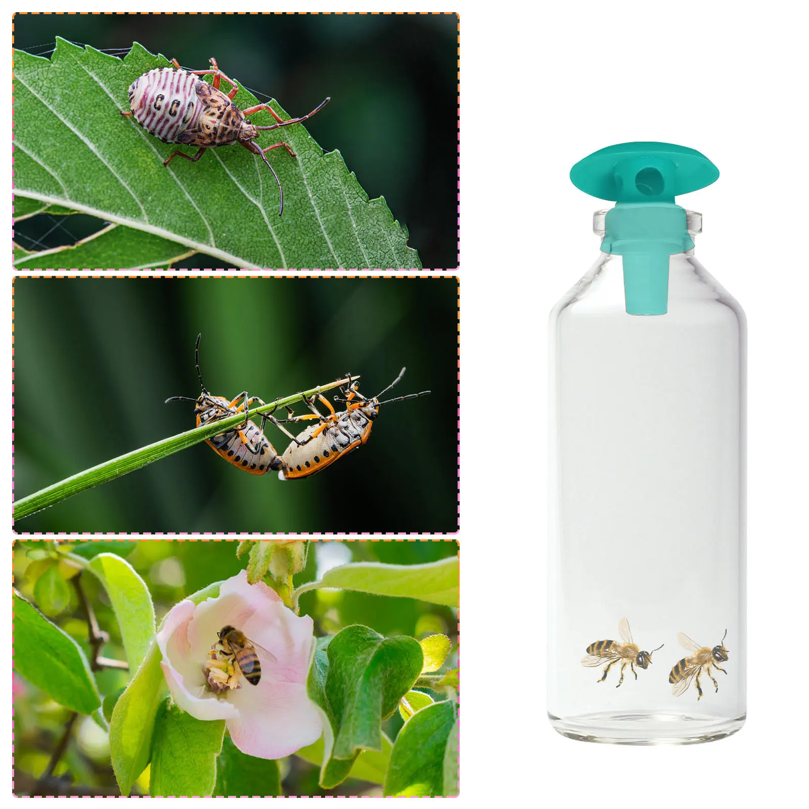 

Silicone Wasp Fruit Fly Killer Reusable Trap Lamp Fly Bug Insect Trap Pest Control for Living Room Bedroom Bathroom Study