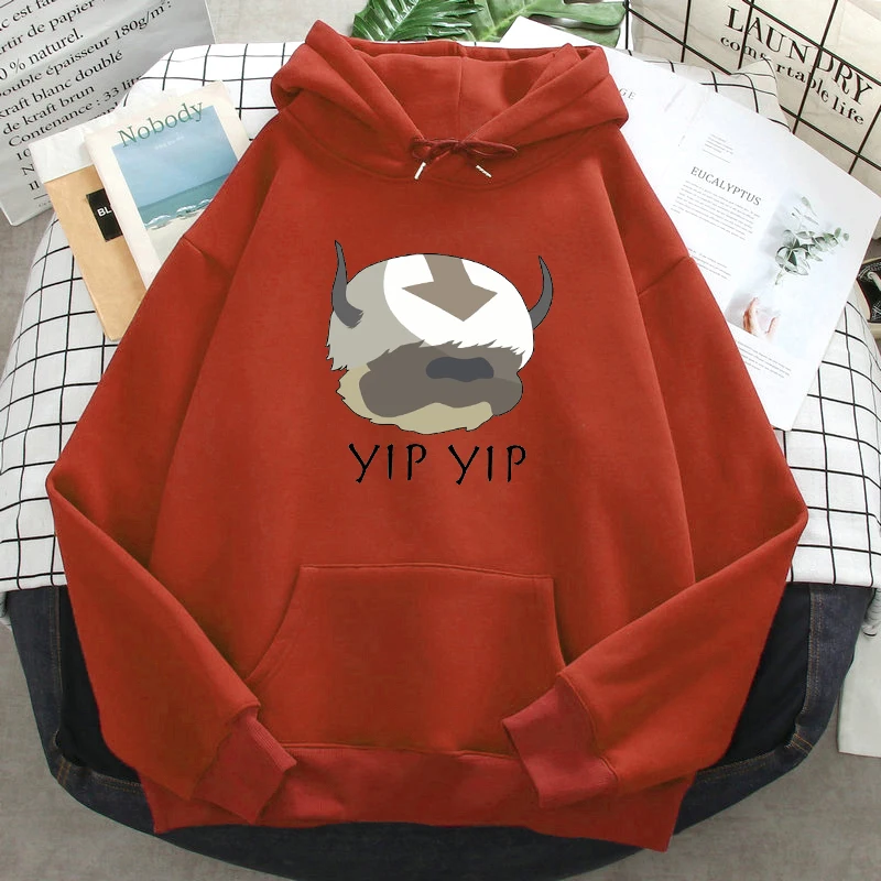 Avatar The Last Airbender Printed Fleece Hoodies Fashionable Pockets Hooded Homme Pullover Male Funny Comfortable Sweatshirt