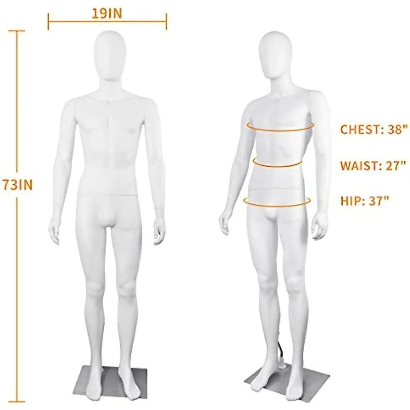 Модель Body masculino realista de EE. UU. Экран с визуальным подъемом регулируемым y-образным