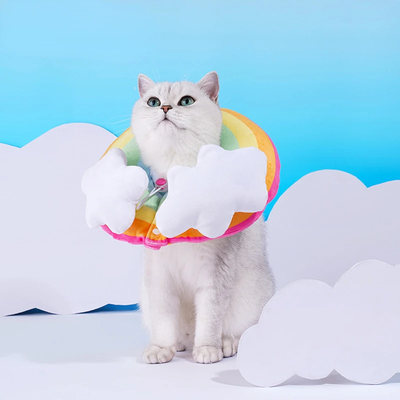 

Cat Collar Cat Assessoires Gatos Accesorios Luxury Dog Accessories Cat Collar Anime Cat Collar Mascotas Rainbow Elizabeth Circle