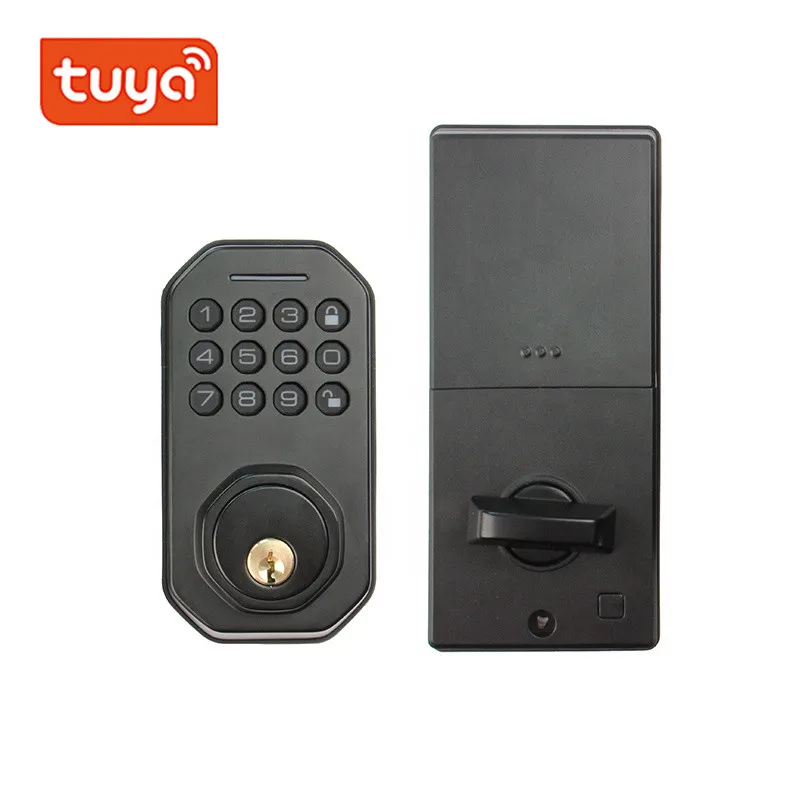 

Дверной замок электронный с поддержкой Wi-Fi и управлением через приложение Tuya