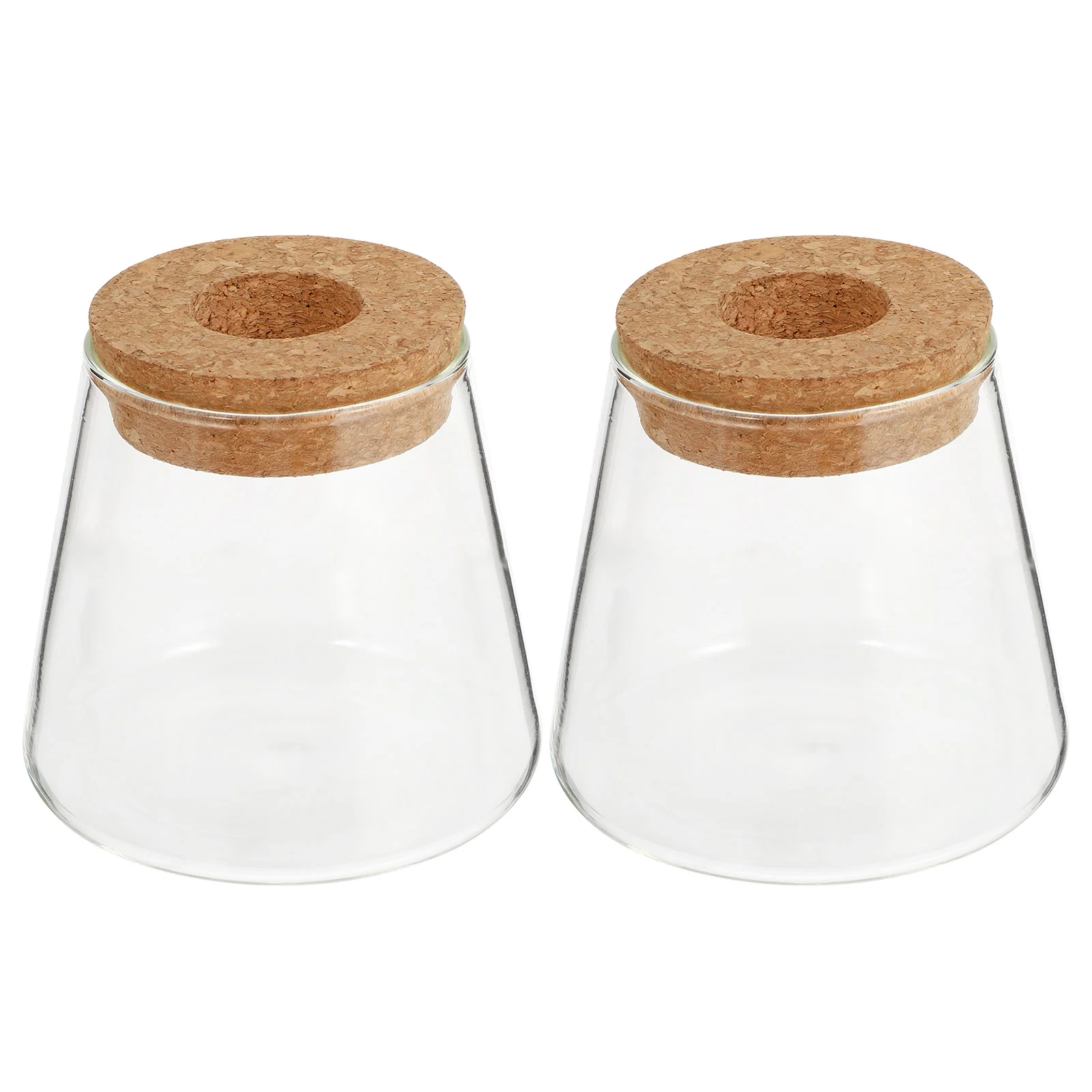 

2Pcs Glass Vases Beautiful Desktop Vase Planter Terrarium for Hydroponics Plants