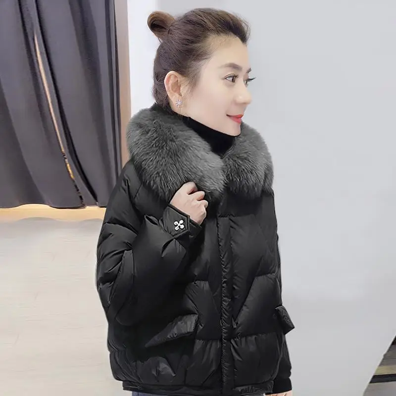 Cotton-padded Women's 2022 New Fashion Stand-up Collar Detachable Big Fur Collar Short Loose Down Cotton Coat
