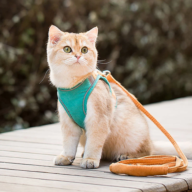 

Escape-Proof Pet Harness and Leash Set Training Walking Leads for Small Cat Dogs Harness Collar Adjust Kitten Leash Dropshipping