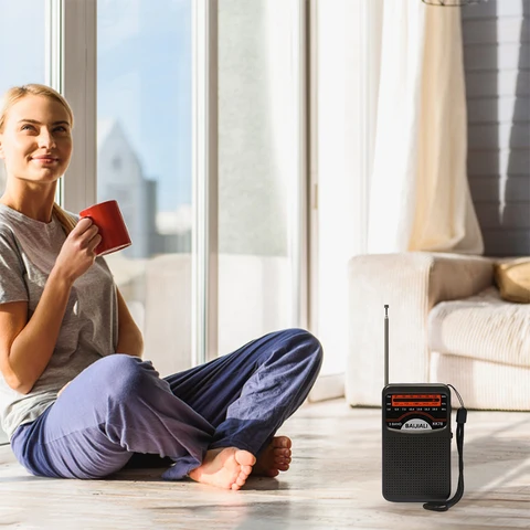 Портативное цифровое радио Sony