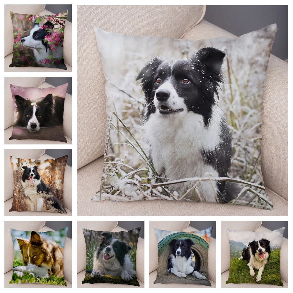 

Pet Animal Cushion Cover Cute Scottish Border Collie Pillowcase Decorative Dog Print Soft Plush Pillowcase