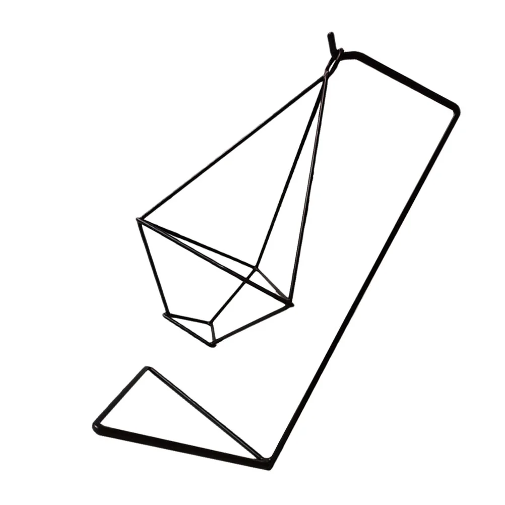 

Tillandsia Holder Air Wall Indoor Stands Hanging Planters Flower Pot Small Airplant Display Rack