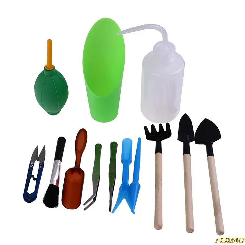 13 шт. миниатюрные растения для выращивания растений |