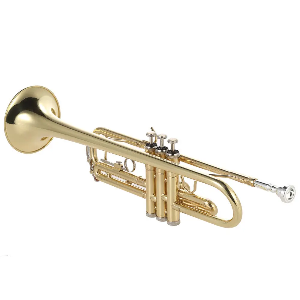 

Brass Lacquered Gold Bb Trumpet fr Student Intermediate Concert School Band G5T8