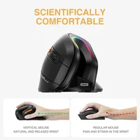 SeenDa Bluetooth Ergonomic Mouse Wireless Rechargeable Mouse RGB 2