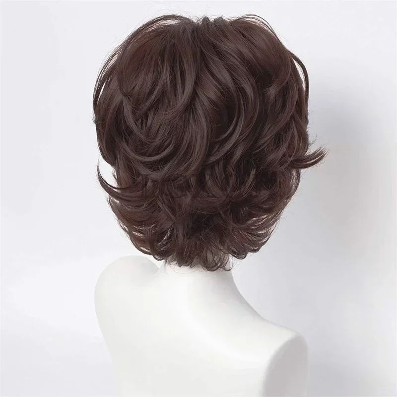 Dazai Osamu Bungou Stray Dogs Парик Косплей Короткие Темно-Коричневые Термостойкие Волосы