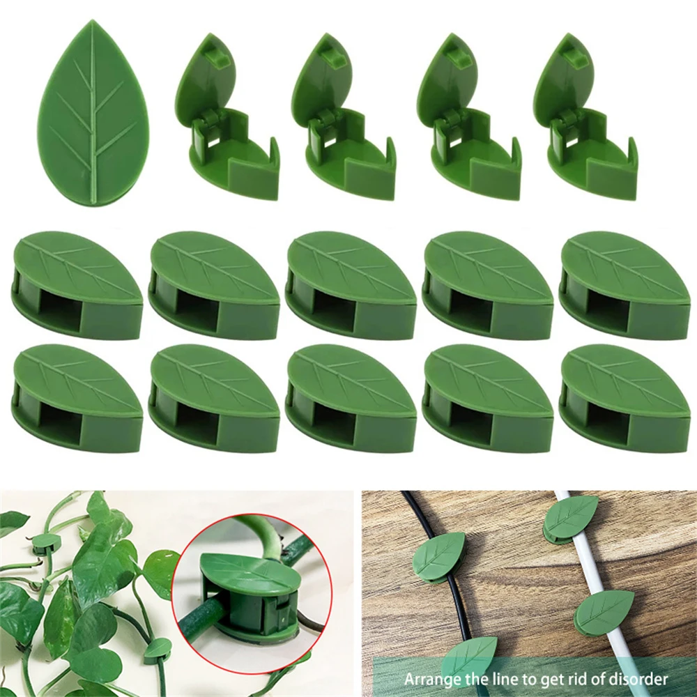 

10PCS Plant Climbing Wall Fixture Clips Self-Adhesive Invisible Vines Hook Support Garden Wall Fixer Wire Fixing Snap Traceless