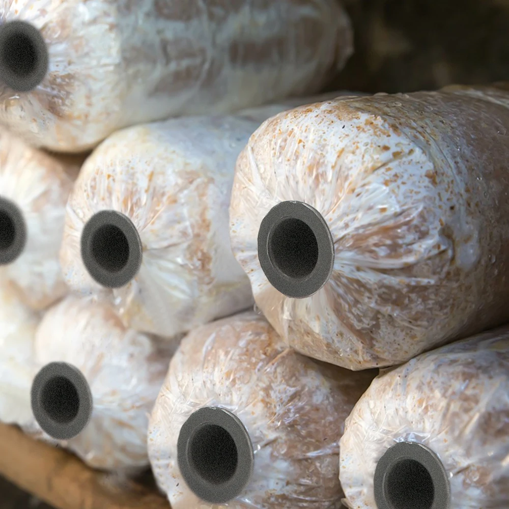 13-25 см пластиковые выпуклые края штанги для грибов садовых ферм съедобные грибки