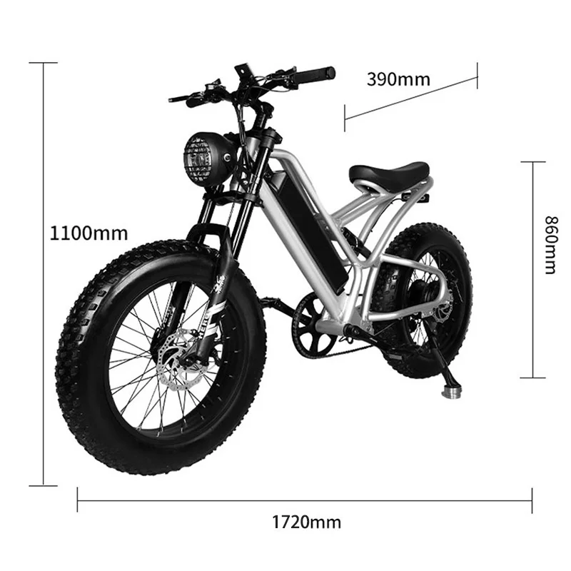 Electric Bike 48V 10AH 20*4.0 Inch Fat Tire Bike 1000W Motor 7 Speed Electric Bicycle Mountain Bike For Adult Motorcycle Bicycle