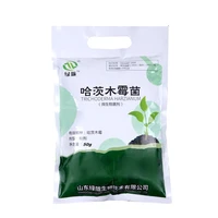 50g trichoderma harzianum microbial for agriculture bacterial powdery mildew biological for root rot of vegetables fruits flower
