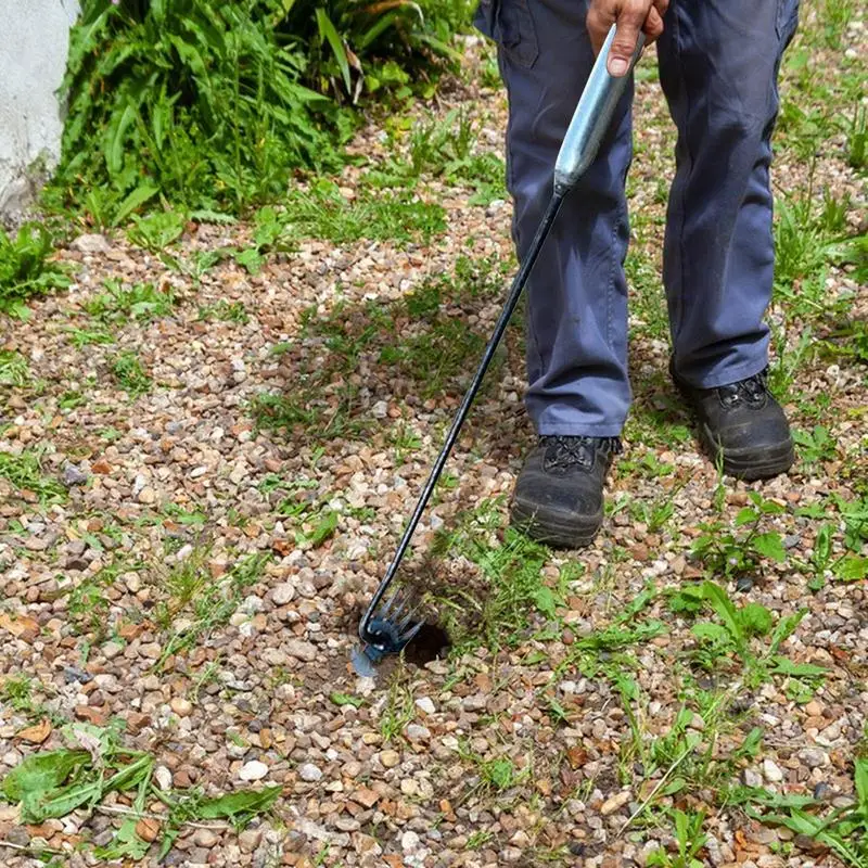 Инструмент для ухода за садом инструмент лужайкой