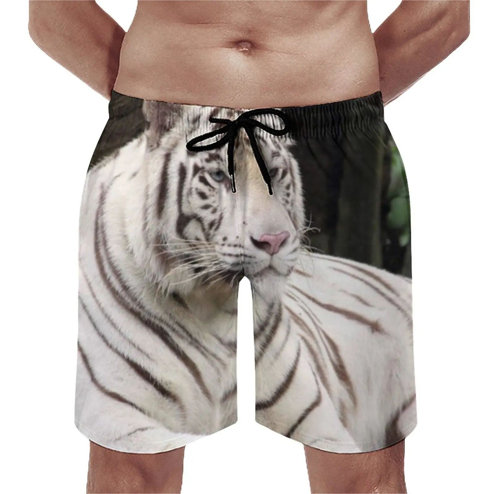 

TIGER Resting Board Shorts Animal Beach Short Pants Hot Sale Men Funny Customs Swim Trunks Big Size 3XL