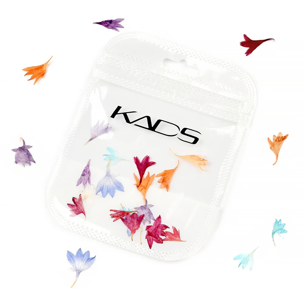 KADS 18Pcs Nail Art Dry Flowers Cornflower 6 Colors 3D Nails Decoration Natural Nail Stickers Nail Supplies for Professionals