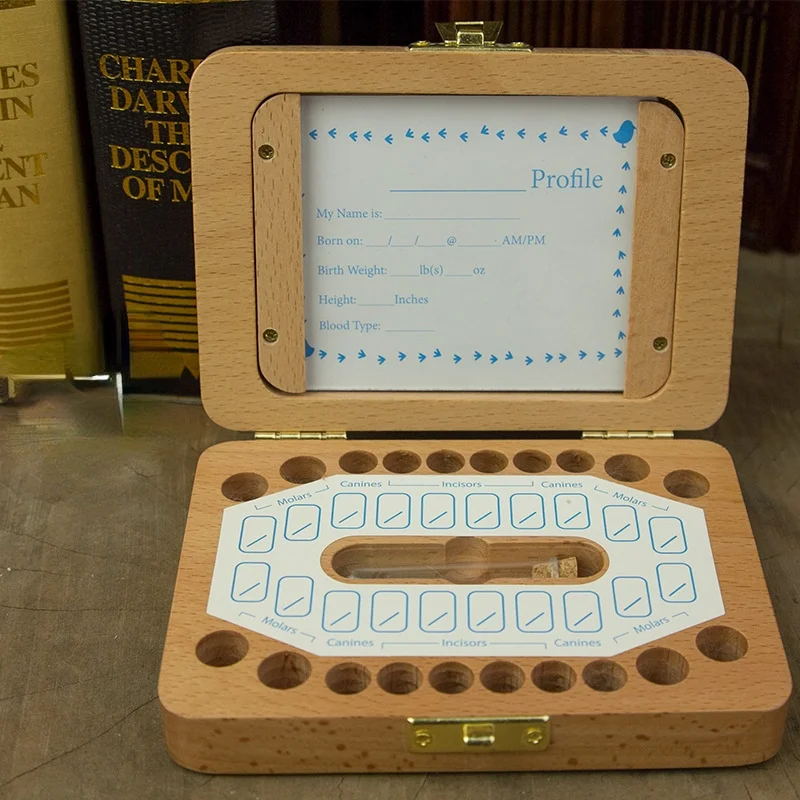 

Органайзер для хранения зубов и молока, испанский/английский/японский/Итальянский детский