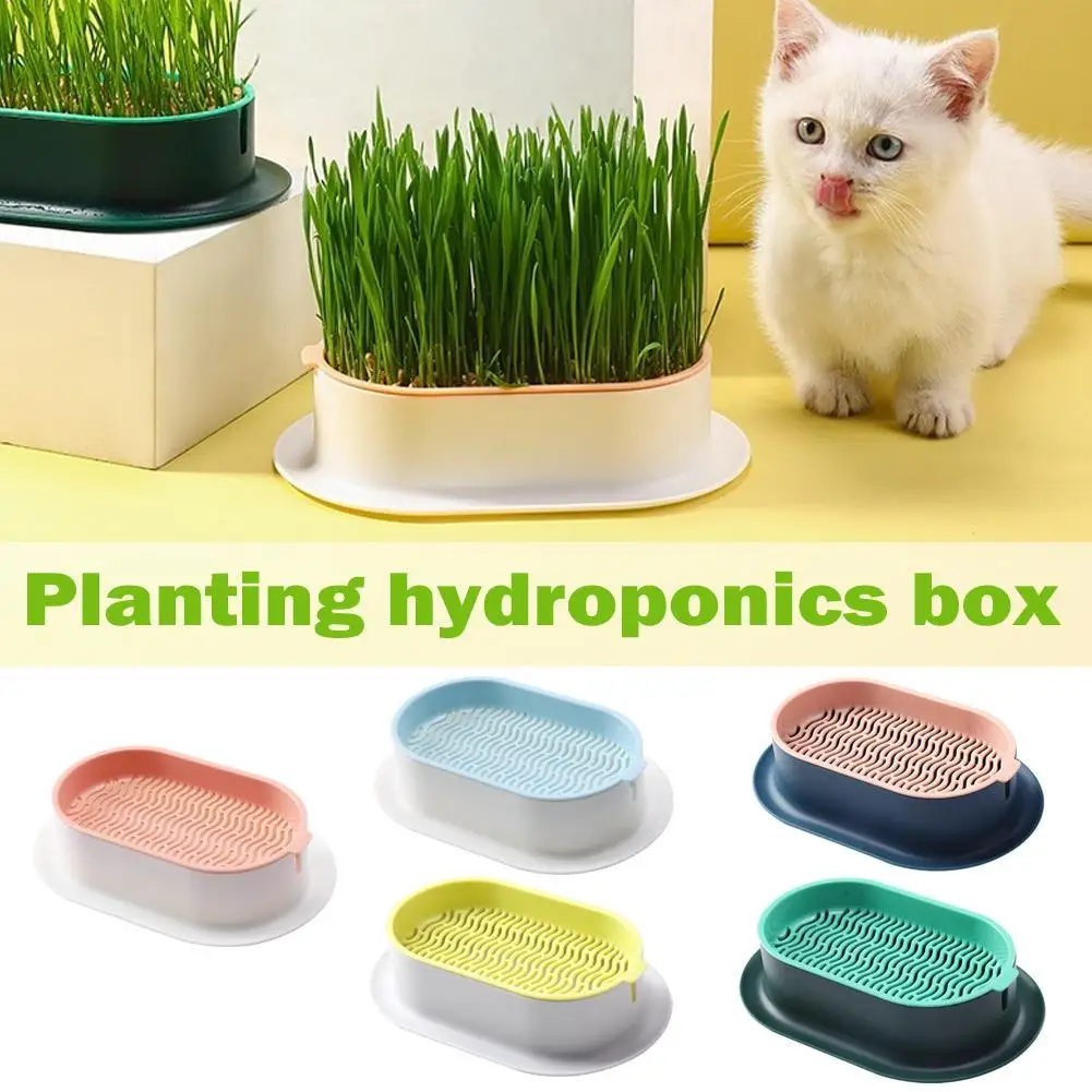 

Pet Cat Sprout Dish Growing Pot Hydroponic Plant Cat Grass Germination Digestion Starter Dish Greenhouse Grow Box Plant Pot New