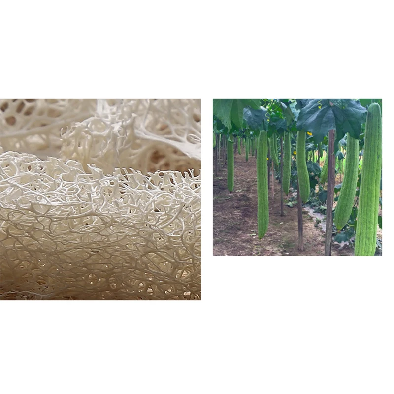 

Loofah ломтики 100 штук ручной работы фотобокс картонный инструмент Чистящая губка держатель мыла для лица 6-7 см