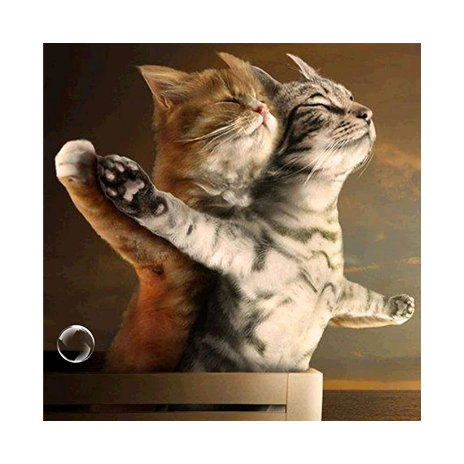 

Diamond Painting Cat By Number Kit Painting Cross Stitch Full Diamond Crystal Rhinestone Embroidery Picture Art Craft Gift