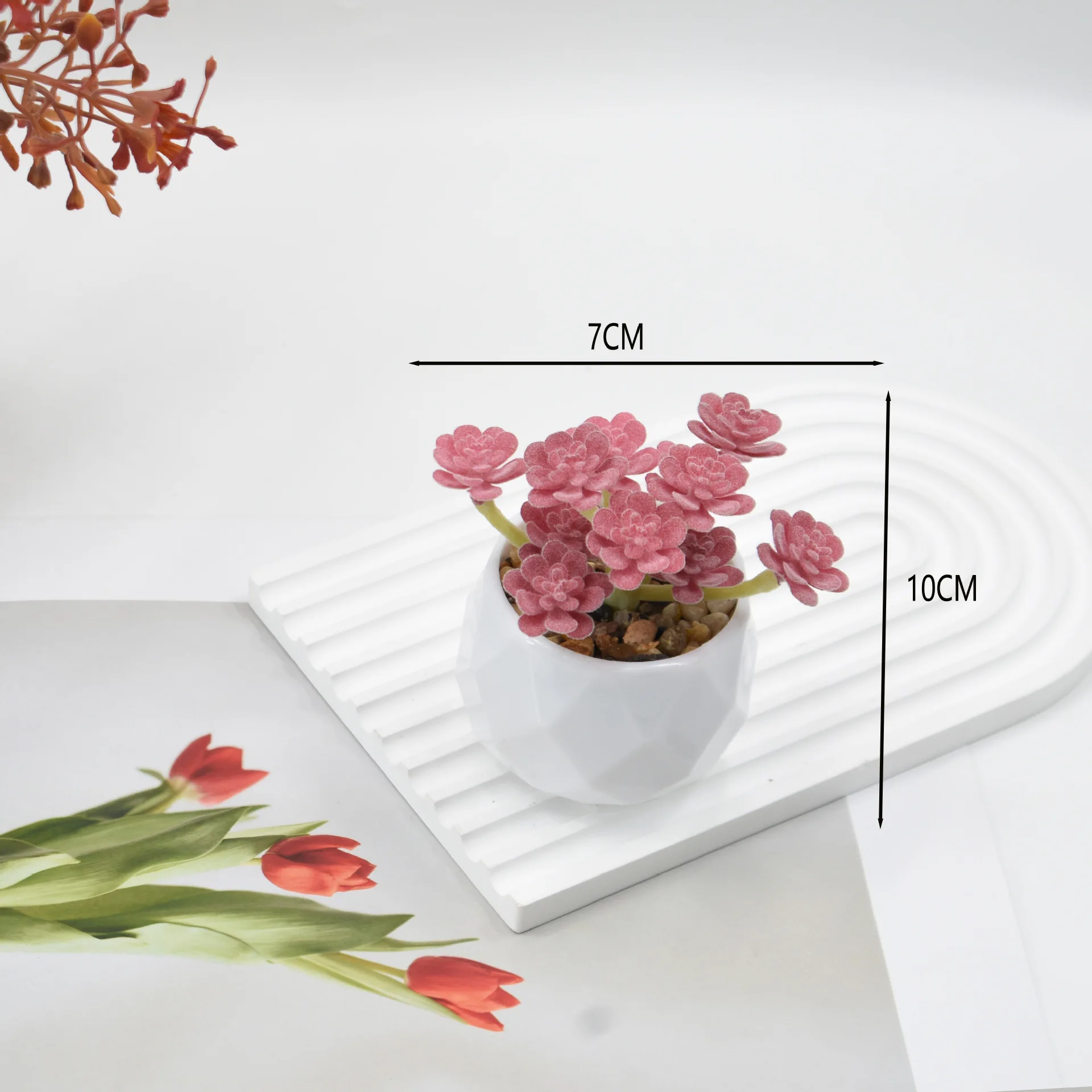 

Искусственные суккуленты кактусы