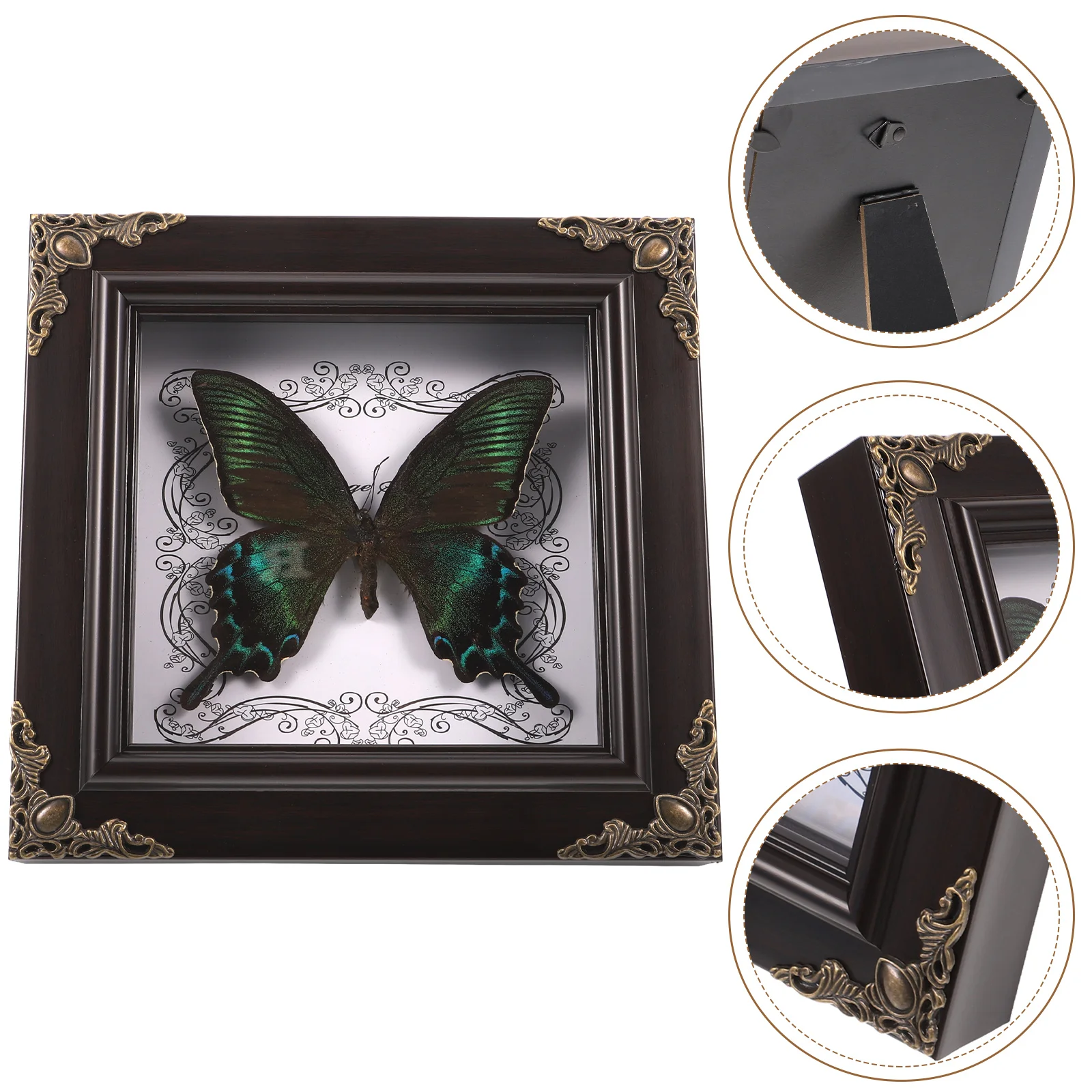 Образец бабочки фоторамка дисплей настольный домашний декор монарх таксидермия