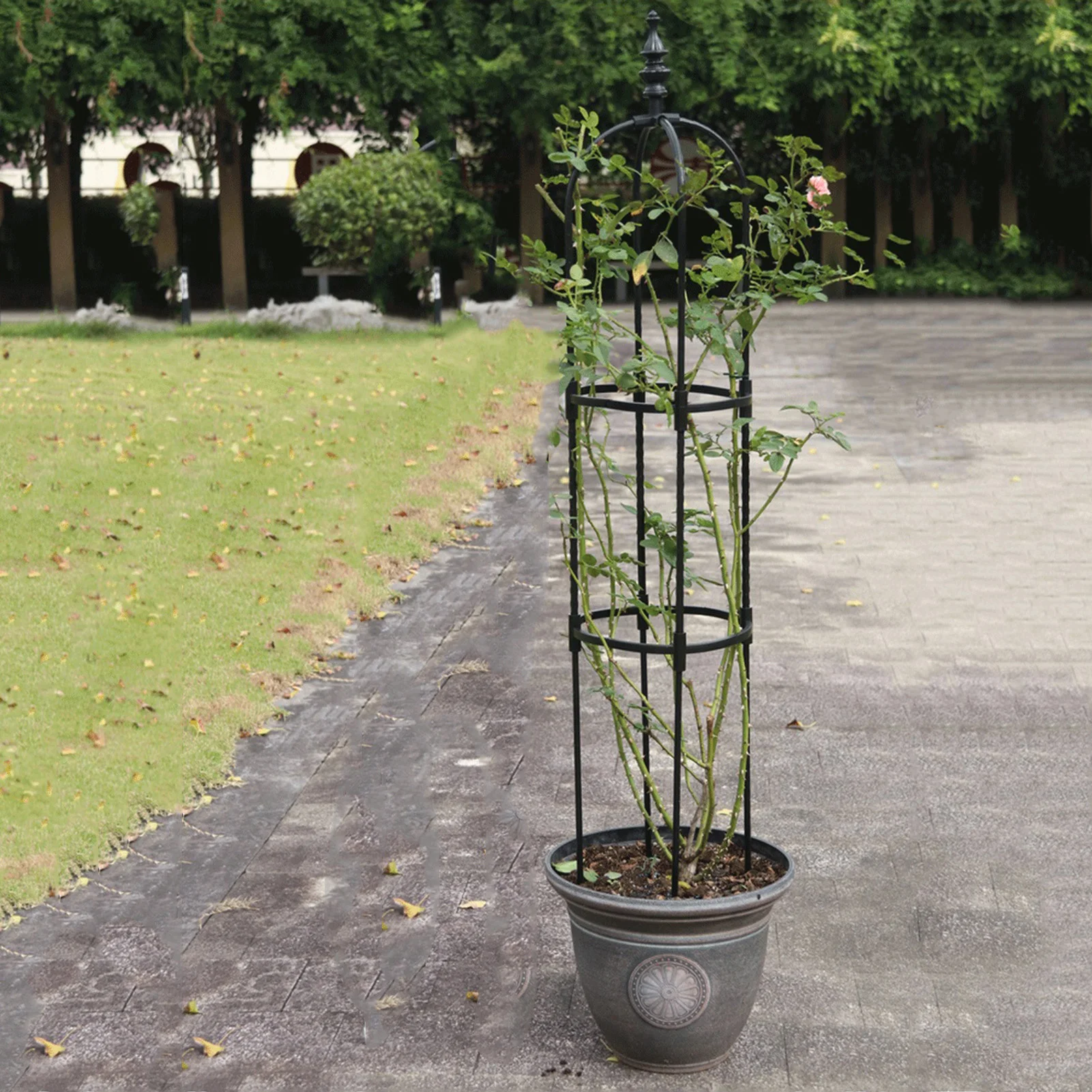 

Садовая подставка для растений Obelisk, подставка для цветов, рама для винограда, решетчатая лоза, устойчивая к атмосферным воздействиям декор...