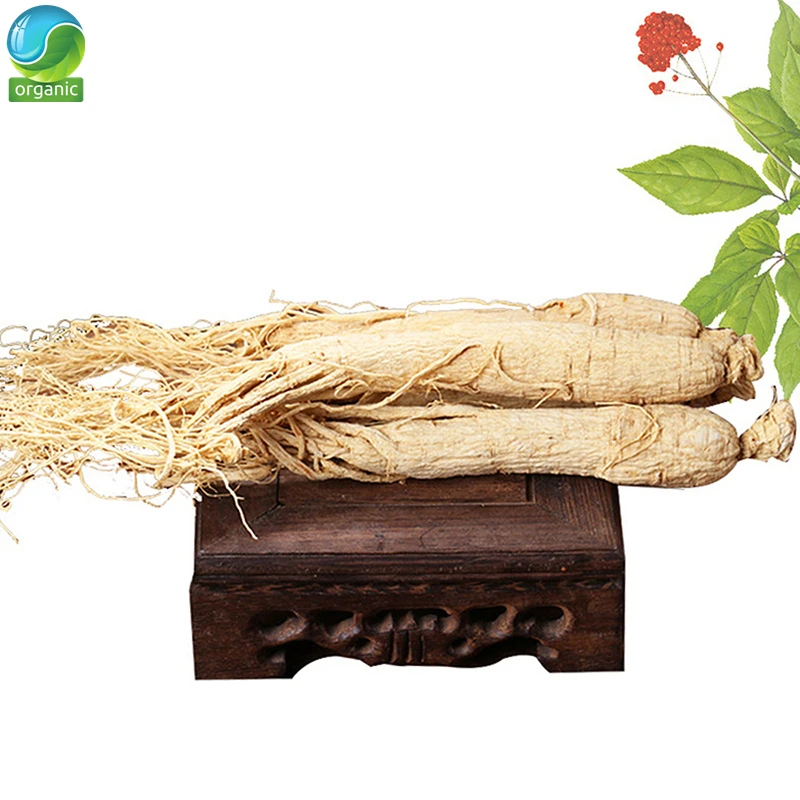 

Natural Wild Organic Dried White Ginseng Root Ginseng Panax 15 Years Roots Improve Immunity Anti-aging White Ginseng Powder