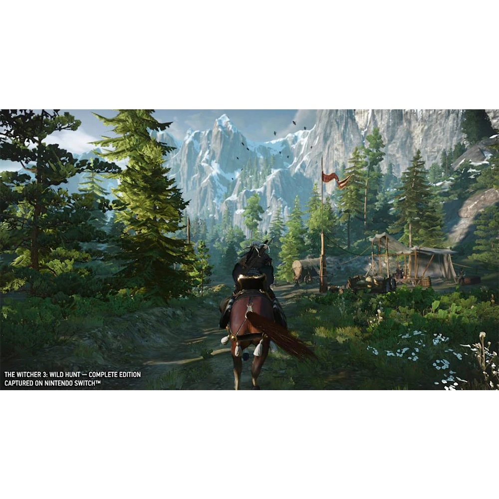 Игровые предложения Nintendo Switch-Ведьмак 3 Дикая Охота Полный выпуск (2 DLC