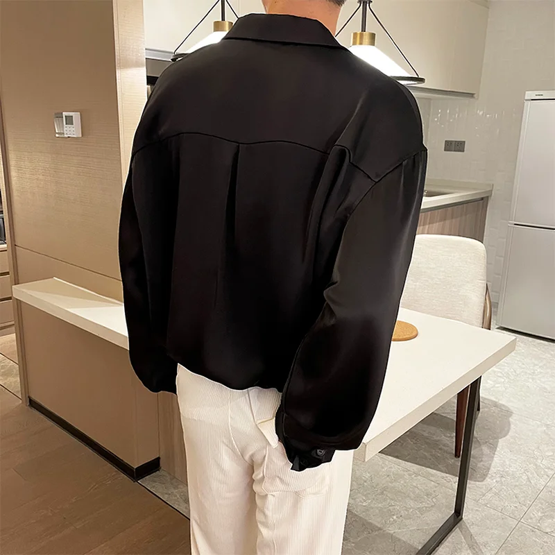 Light Luxury V-neck Men's Shirt 2021 Autumn Loose Long Sleeve Casual Loose Shirts Male Streetwear Social Party Camisas Masculina